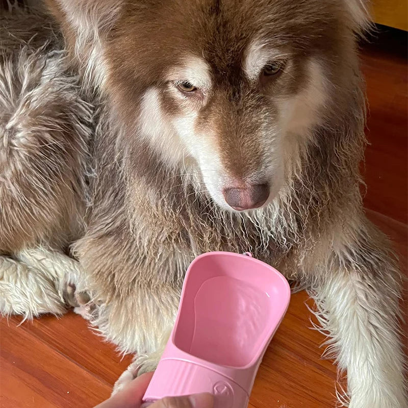 2-in-1 Portable Dog Water Bottle & Food Container for Travel - The Little Market Shop