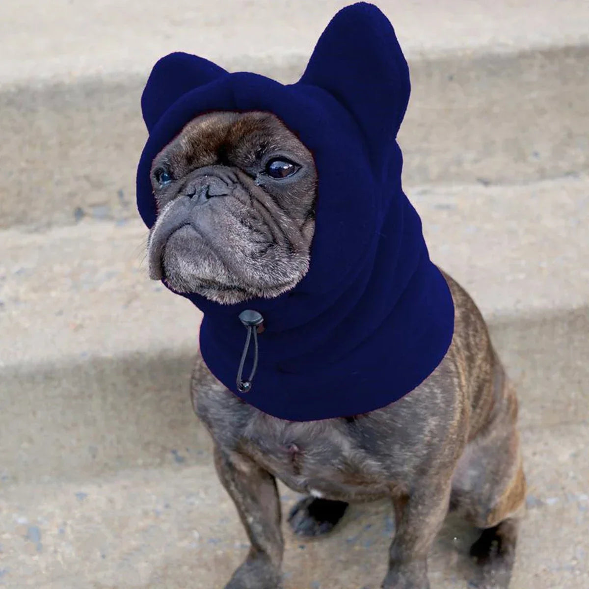 Cute Fleece Bat Hat for Dogs – Adjustable, Warm Winter Pet Accessory - The Little Market Shop