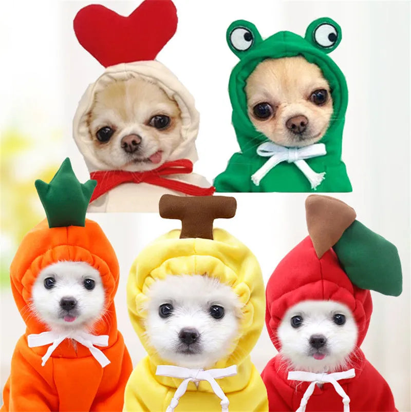 Cute Frog Dog Hoodie - Warm Fleece Clothes for Small & Medium Pets - The Little Market Shop