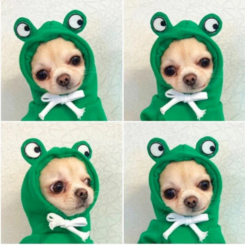 Cute Frog Dog Hoodie - Warm Fleece Clothes for Small & Medium Pets - The Little Market Shop