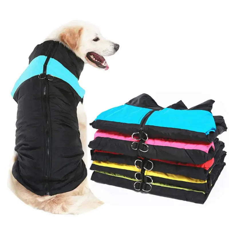Premium Waterproof Winter Dog Coat - Tailored for Dogs of All Sizes, - Keep Your dog Cozy, All Sizes - The Little Market Shop