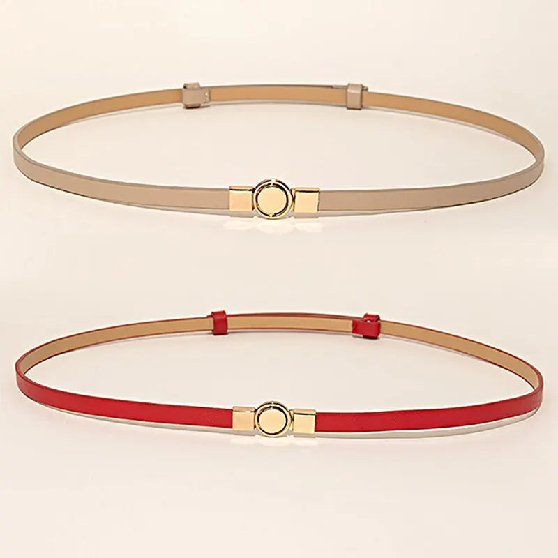 2 Piece Multicolor Self-Stretch Dress with Belt – Year-Round Elegance - The Little Market Shop