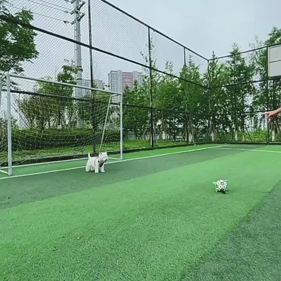 1 Inflatable tool with green carabiner, black pump, and brown ball-like object on a white background. video