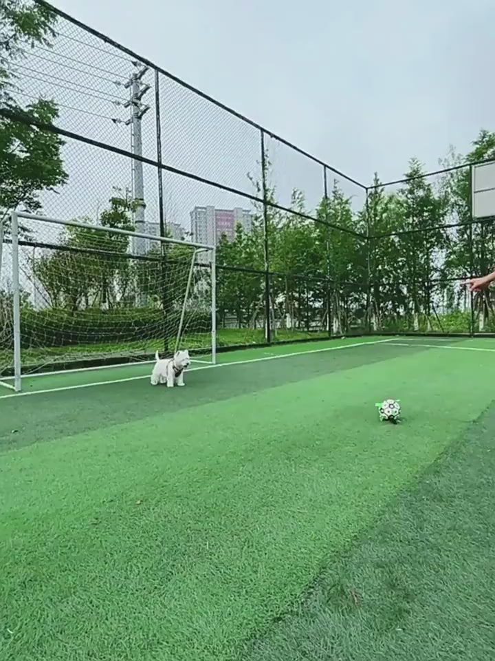 1 Inflatable tool with green carabiner, black pump, and brown ball-like object on a white background. video