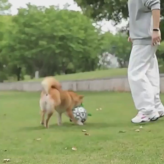 video Inflatable tool with green carabiner, black pump, and brown ball-like object on a white background. 4