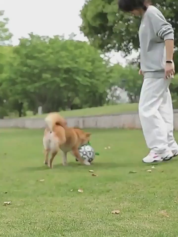 video Inflatable tool with green carabiner, black pump, and brown ball-like object on a white background. 4