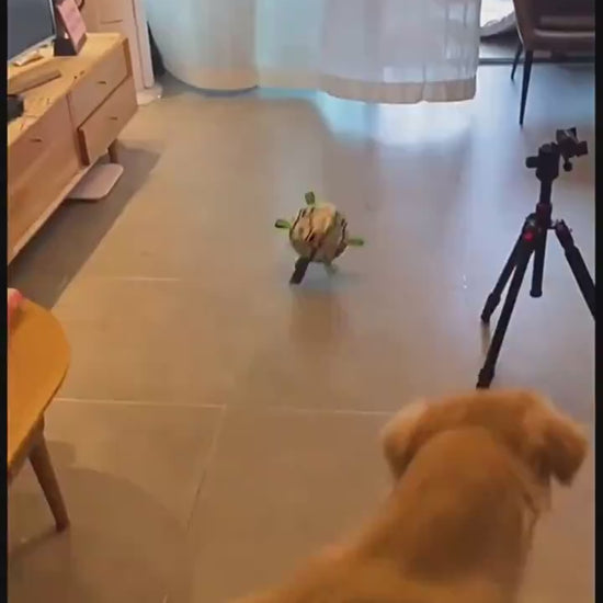 Inflatable tool with green carabiner, black pump, and brown ball-like object on a white background. video five
