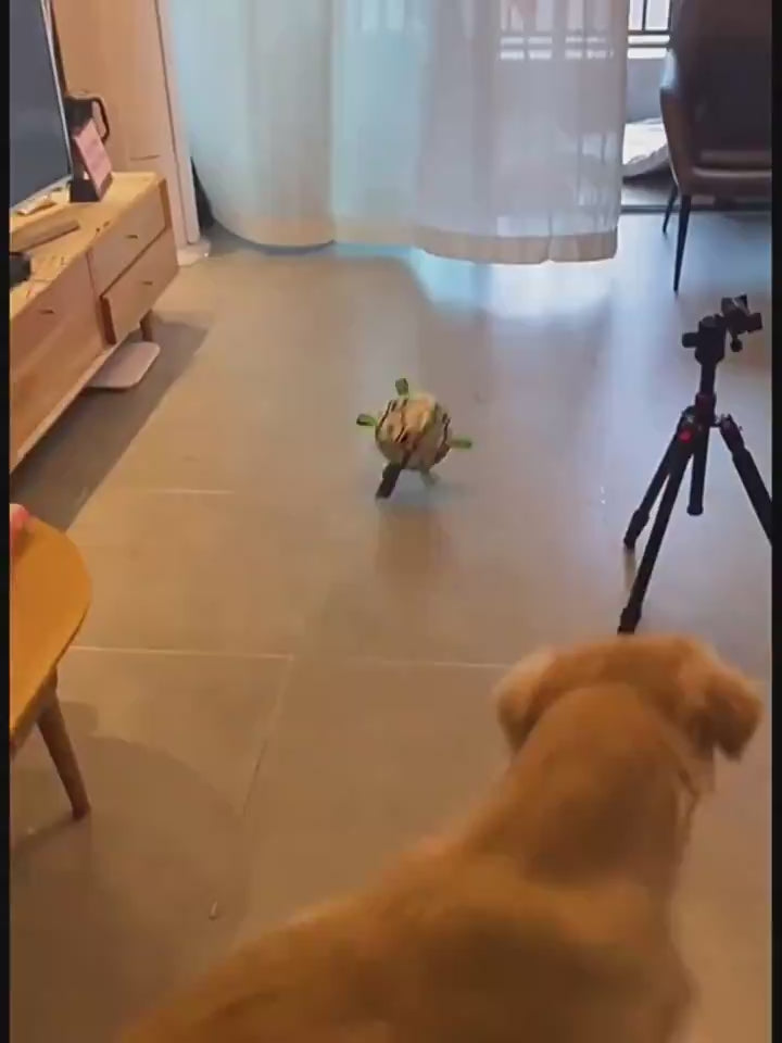 Inflatable tool with green carabiner, black pump, and brown ball-like object on a white background. video five
