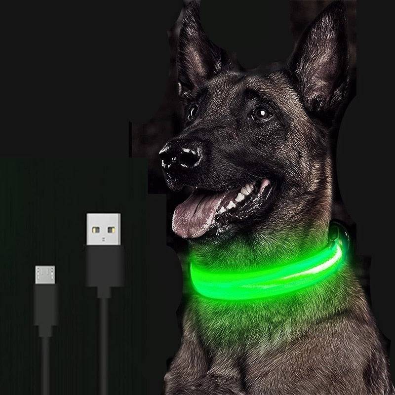 LED Glowing Dog Collar Luminous & Adjustable Makes Your Dog Visible Safe - The Little Market Shop