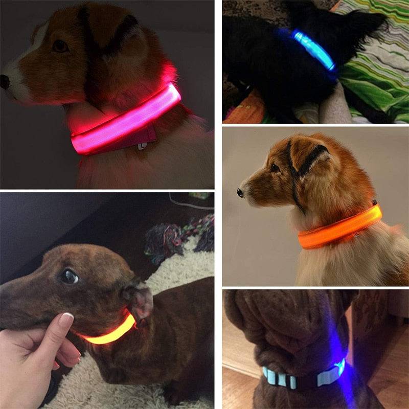 LED Glowing Dog Collar Luminous & Adjustable Makes Your Dog Visible Safe - The Little Market Shop