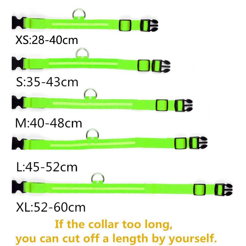 LED Glowing Dog Collar Luminous & Adjustable Makes Your Dog Visible Safe - The Little Market Shop