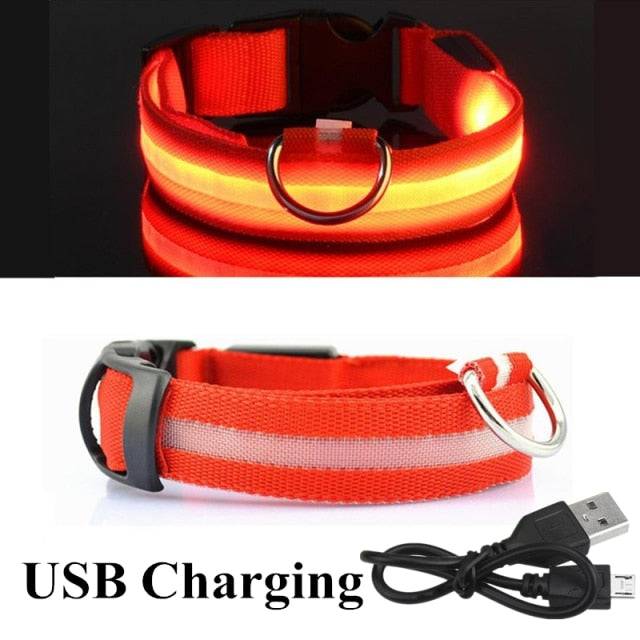 LED Glowing Dog Collar Luminous & Adjustable Makes Your Dog Visible Safe - The Little Market Shop