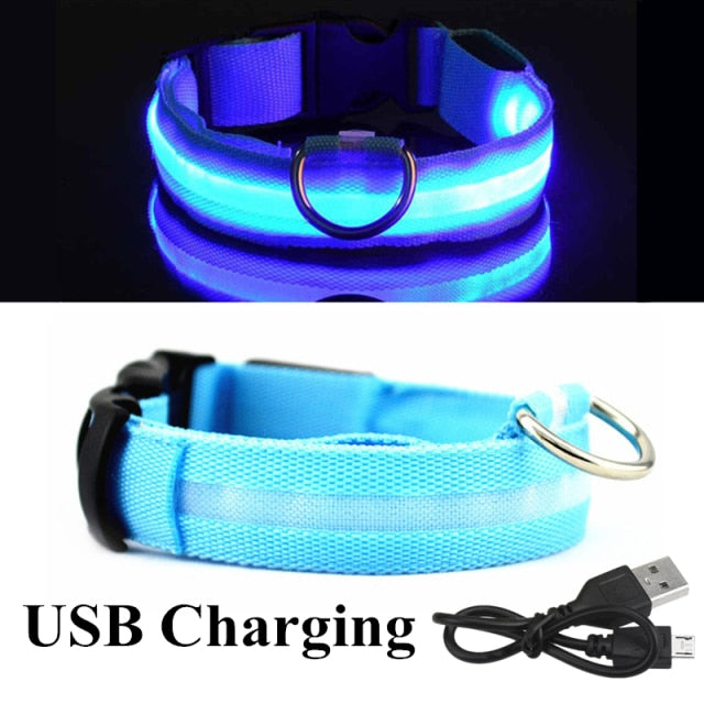 LED Glowing Dog Collar Luminous & Adjustable Makes Your Dog Visible Safe - The Little Market Shop