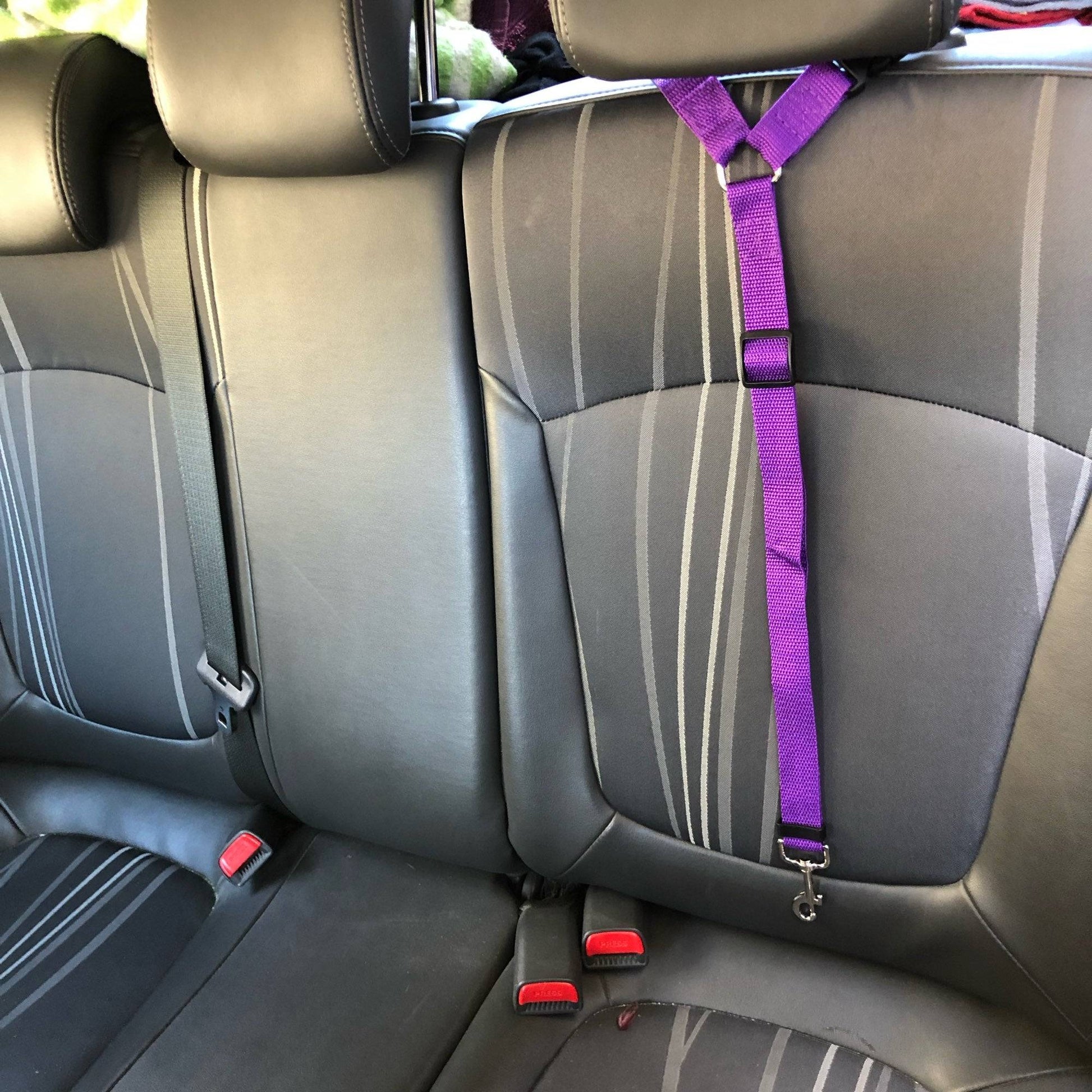 Pet Car Seat Belt - BackSeat Safety Belt Adjustable protect your pet - The Little Market Shop